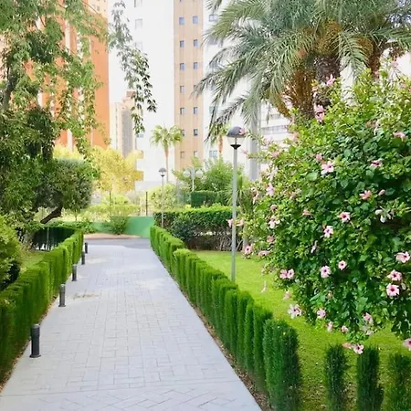 Apartamento En Levante En Planta 17